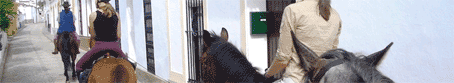 Turismo Equestre