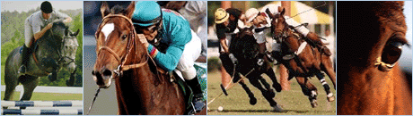 Sport a Cavallo
