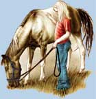 Uomo e Cavallo