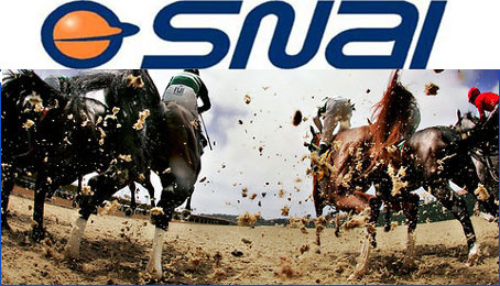 Corse Cavalli Online