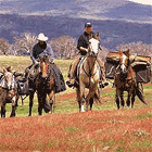 Escursioni e Itinerari a cavallo