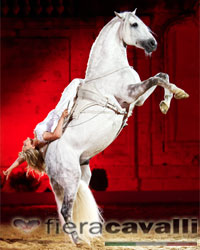 Equitazione artistica
