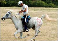 Gubbio Endurance