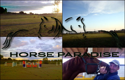 Horse Paradise