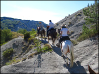 Trekking a cavallo sul Monte Fumaiolo