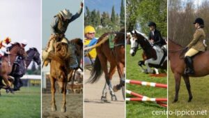 Discipline Equestri